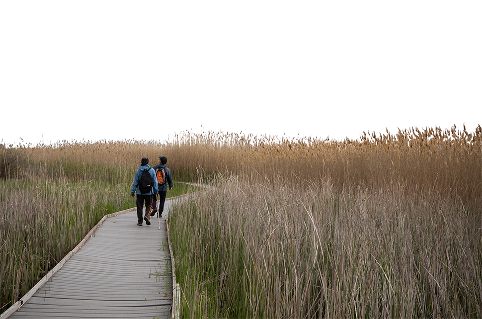 Photo de deux randonneurs dans le parc provincial Presqu'ile.